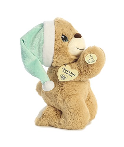 10" Charlie Prayer Bear Plush Precious Moments Aurora Town Creek Trading Post - Free Shipping $50.00