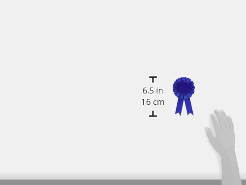 Award Ribbon (blue) Party Accessory (1 count) (1/Pkg) Beistle Town Creek Trading Post - Free Shipping $50.00