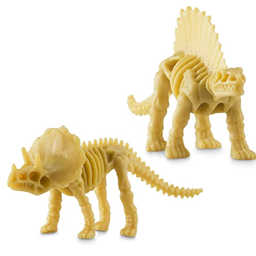 US Toy - Assorted Dinosaur Skeleton Toy Figures, Made of Plastic, (1-Pack of 12) US TOYS Town Creek Trading Post - Free Shipping $50.00