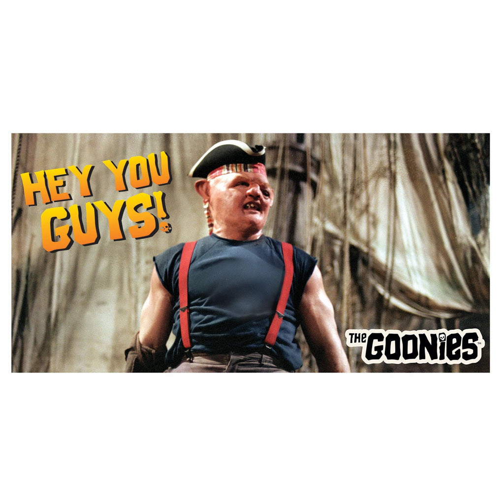 33.5" x 65"Goonies Classic Retro Carnival Plastic Party Wall Decoration Scene Setter amscan Town Creek Trading Post - Free Shipping $50.00