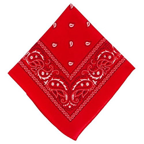 Classic Red Bandana Paisley - 20" x 20" amscan Town Creek Trading Post - Free Shipping $50.00