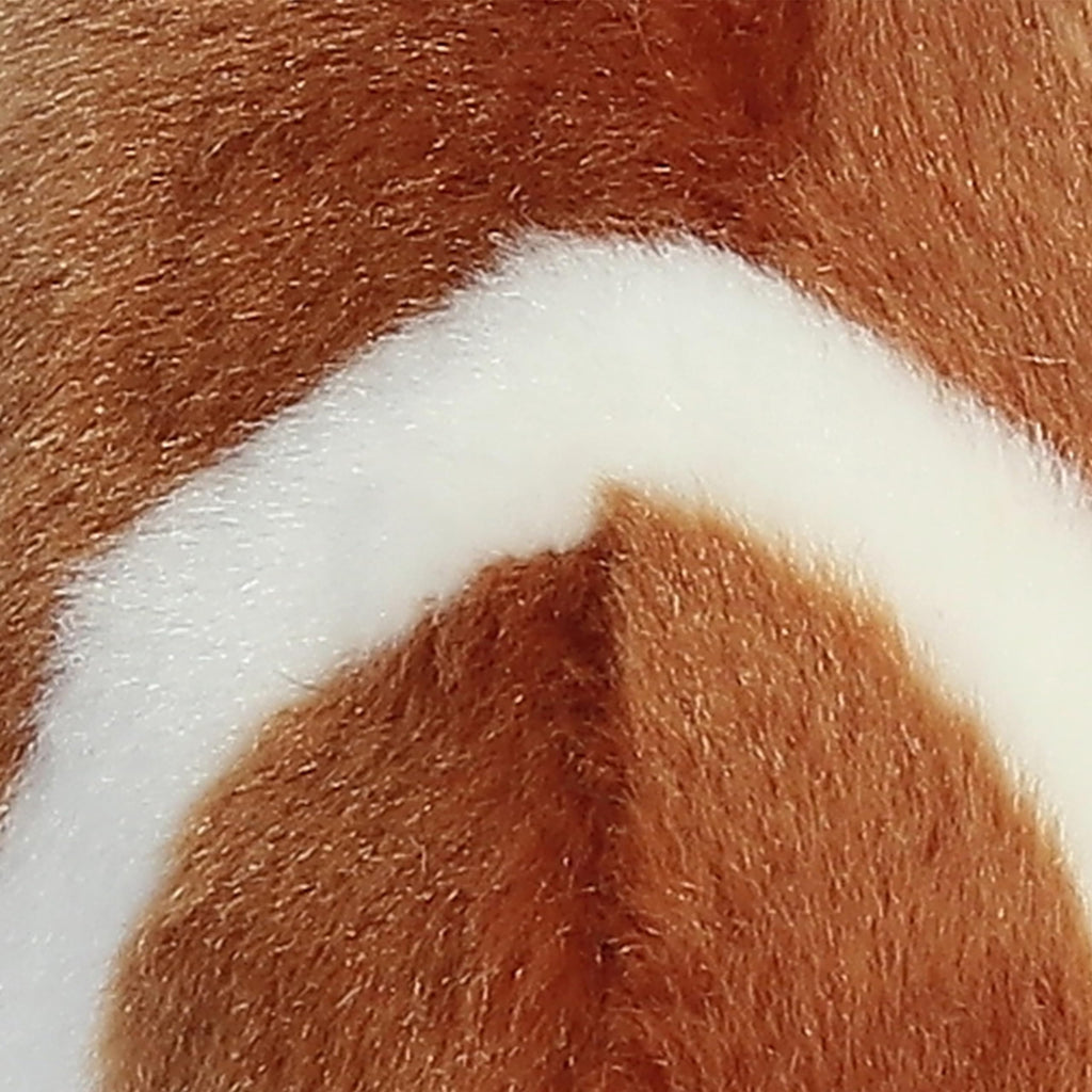 5" TACKLE FOOTBALL Aurora Town Creek Trading Post - Free Shipping $50.00