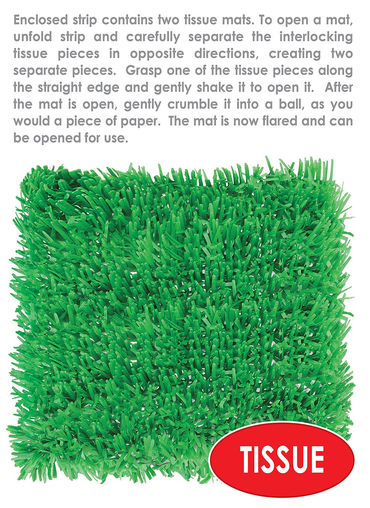 Beistle 2 Piece Novelty Tissue Paper Fake Grass Mats for Spring Summer Easter Party Decorations, 15" x 30", Green Beistle Town Creek Trading Post - Free Shipping $50.00