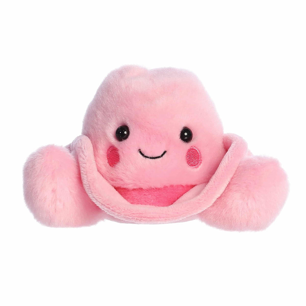 5" SALLY PINK COWGIRL HAT Aurora Town Creek Trading Post - Free Shipping $50.00