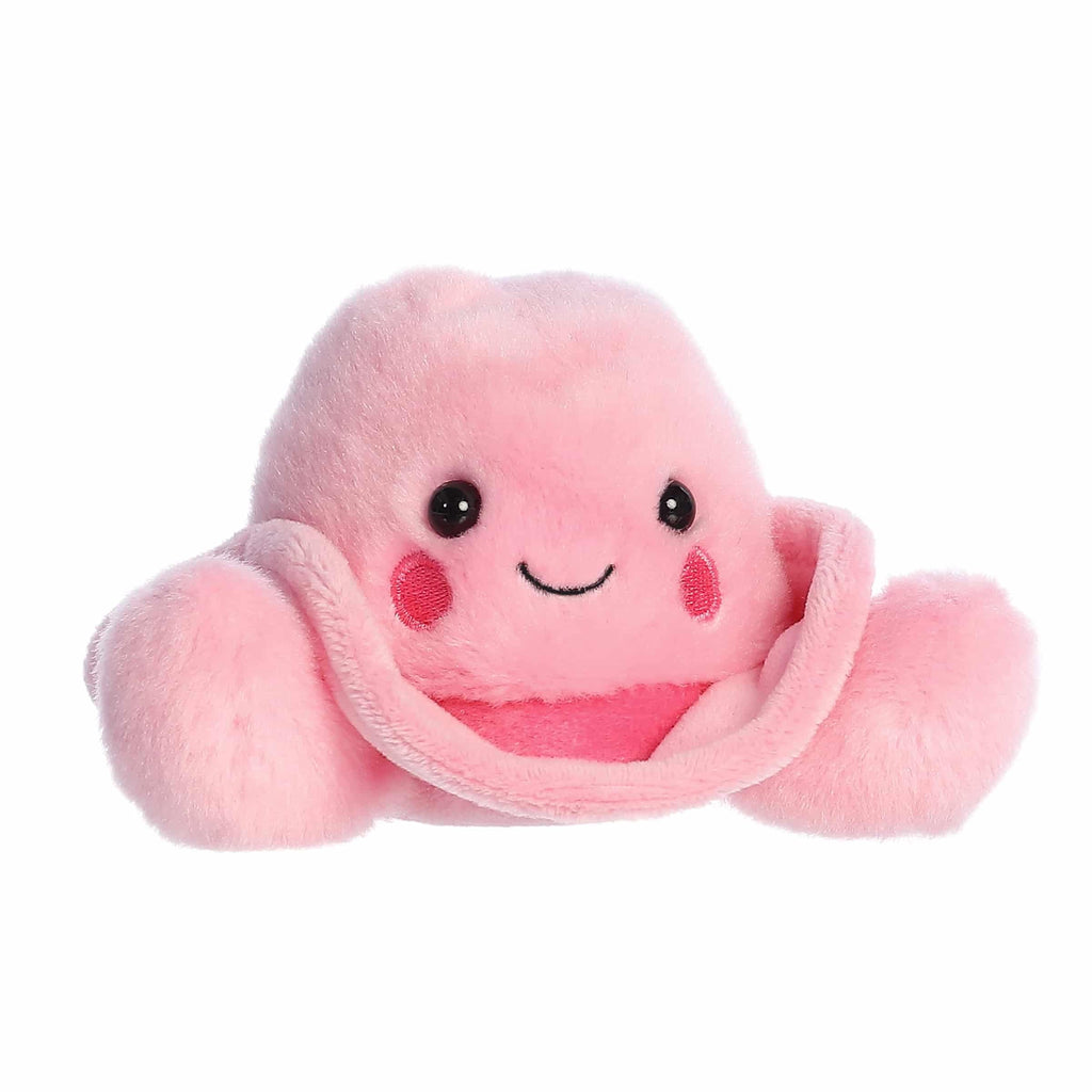 5" SALLY PINK COWGIRL HAT Aurora Town Creek Trading Post - Free Shipping $50.00