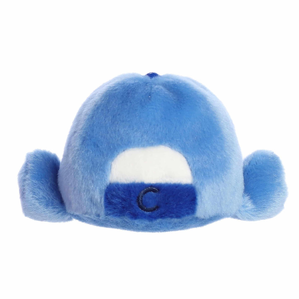 5" SAWYER BASEBALL CAP Aurora Town Creek Trading Post - Free Shipping $50.00