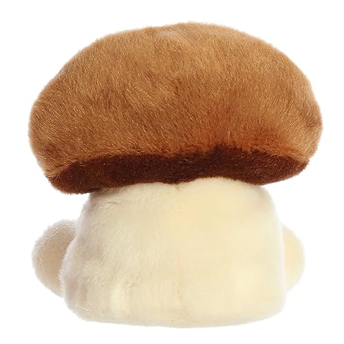 5" UMAMI SHIITAKE MUSHROOM Aurora Town Creek Trading Post - Free Shipping $50.00