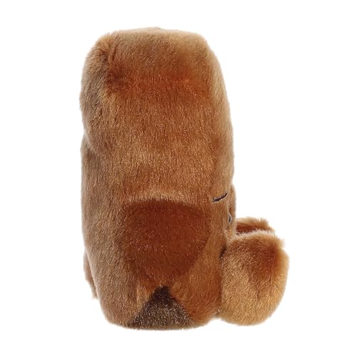 5" EVAN COWBOY BOOT Aurora Town Creek Trading Post - Free Shipping $50.00