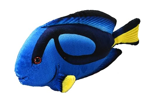 6" Surgeon Fish Plush WILD REPUBLIC Town Creek Trading Post - Free Shipping $50.00